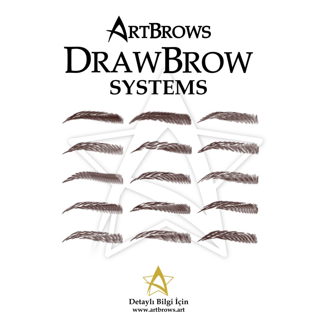 artbrows systems